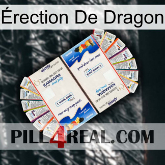 Érection De Dragon kamagra1